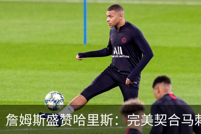 詹姆斯盛赞哈里斯：完美契合马刺新阵容